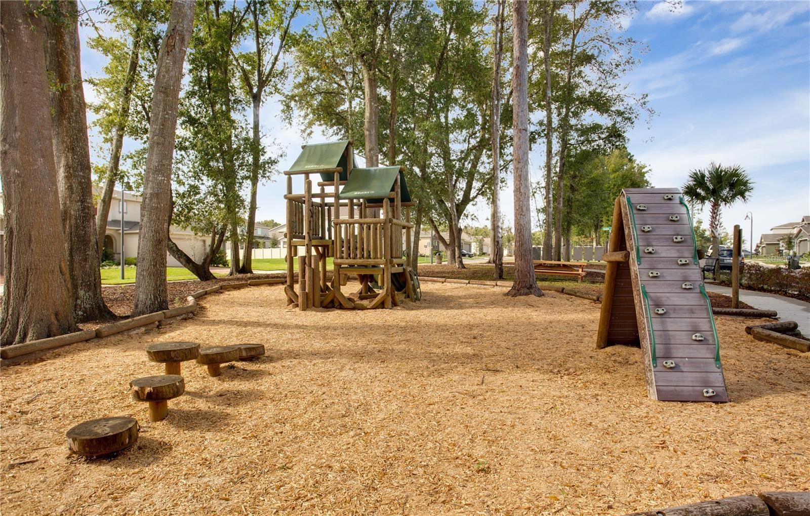 2280 MOUNTAIN PINE ST, OCOEE, FL, 34761