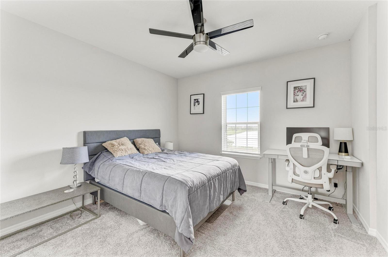 16528 PAYNES MILL DR, BRADENTON, FL, 34211