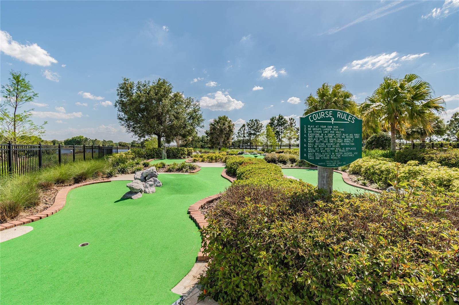10030 SALT POINT DR, WINTER GARDEN, FL, 34787