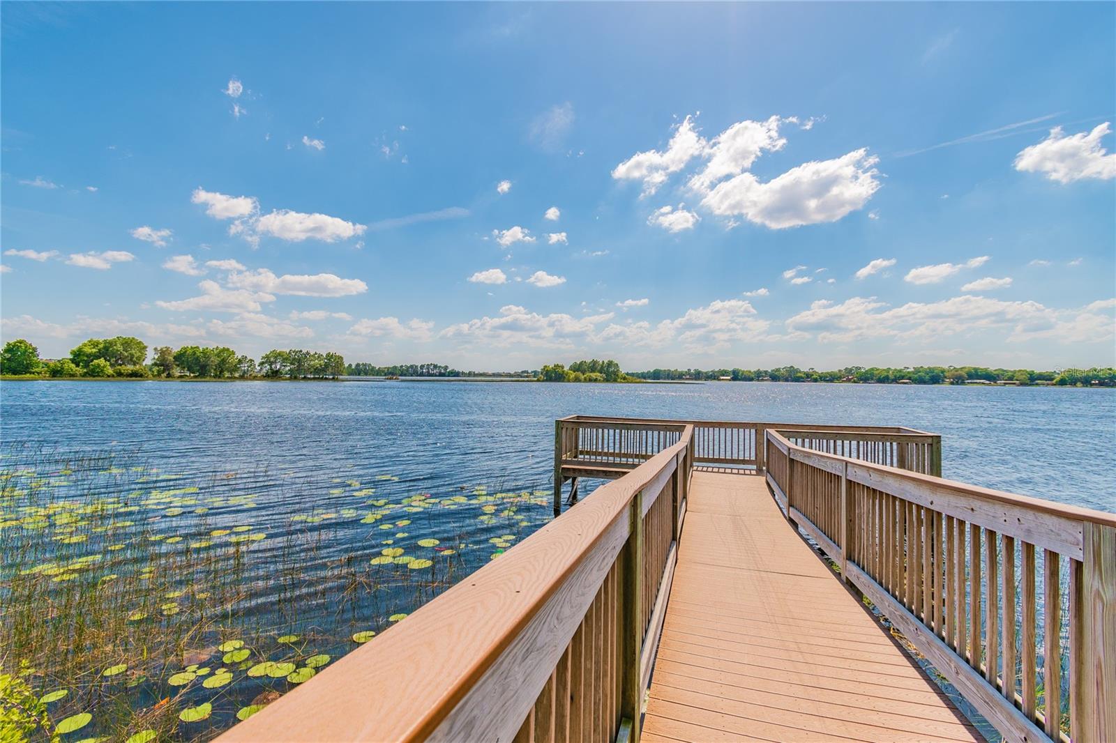 10030 SALT POINT DR, WINTER GARDEN, FL, 34787