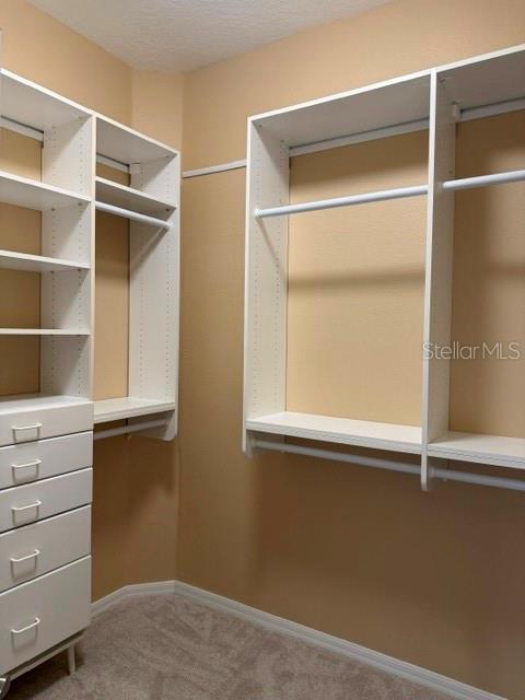 27152 FORDHAM DR, WESLEY CHAPEL, FL, 33544