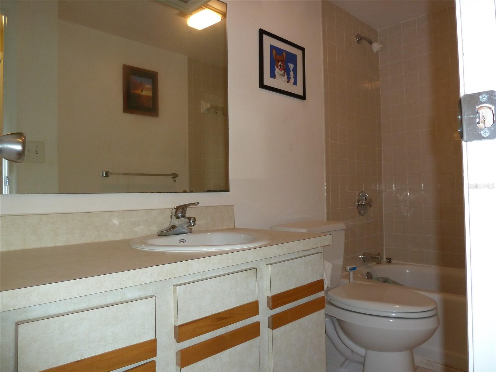 807 JACARANDA DR, OLDSMAR, FL, 34677