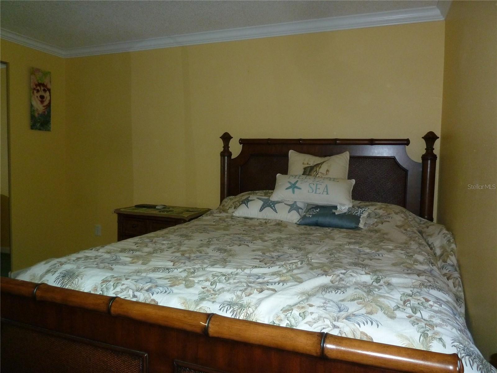 807 JACARANDA DR, OLDSMAR, FL, 34677