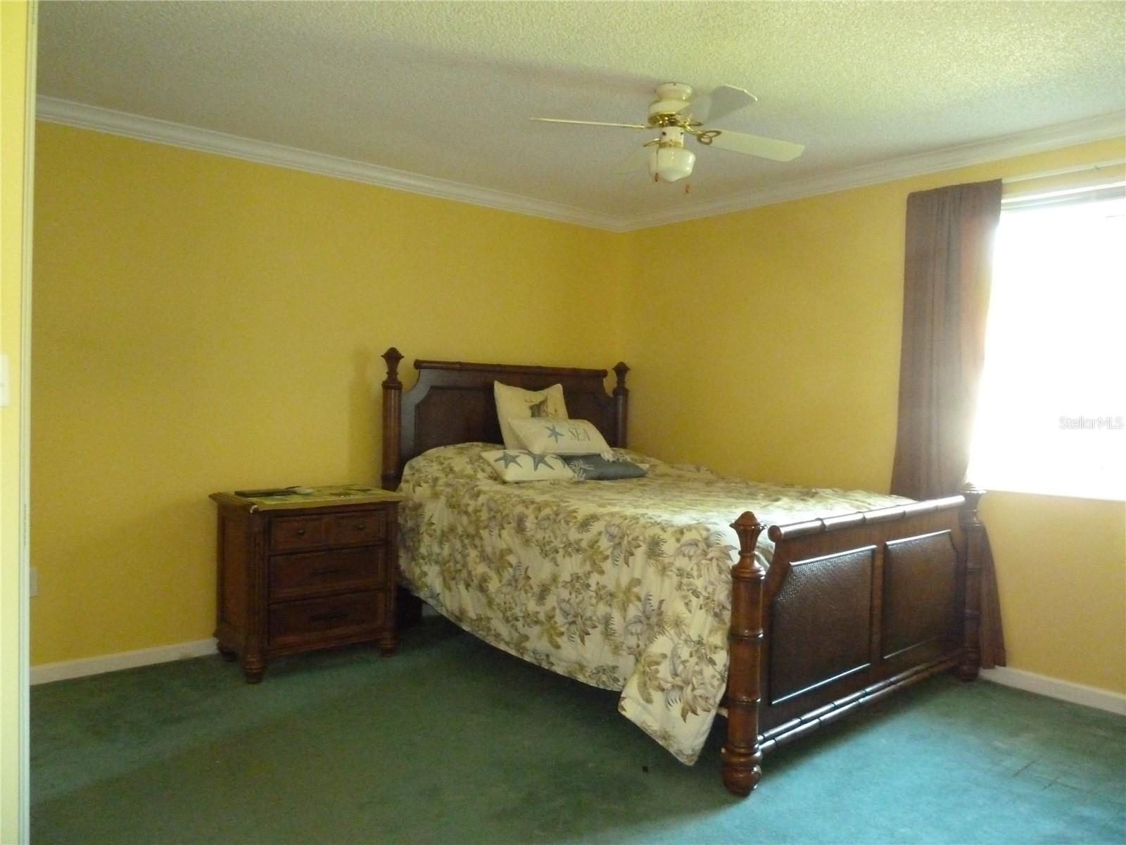 807 JACARANDA DR, OLDSMAR, FL, 34677