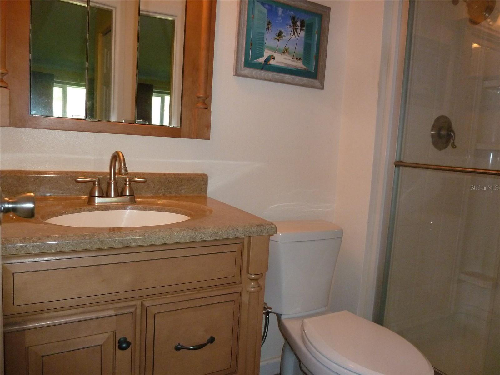 807 JACARANDA DR, OLDSMAR, FL, 34677