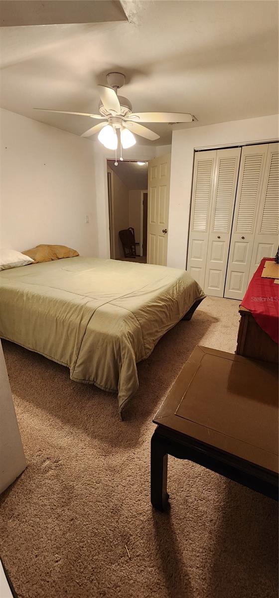 3404 NW 52ND TER, GAINESVILLE, FL, 32606