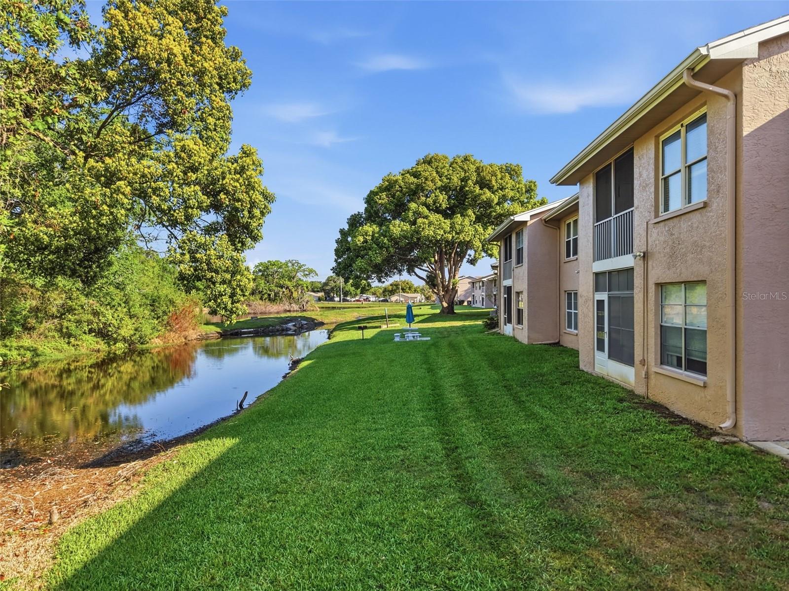 4833 MYRTLE OAK DR #12, NEW PORT RICHEY, FL, 34653
