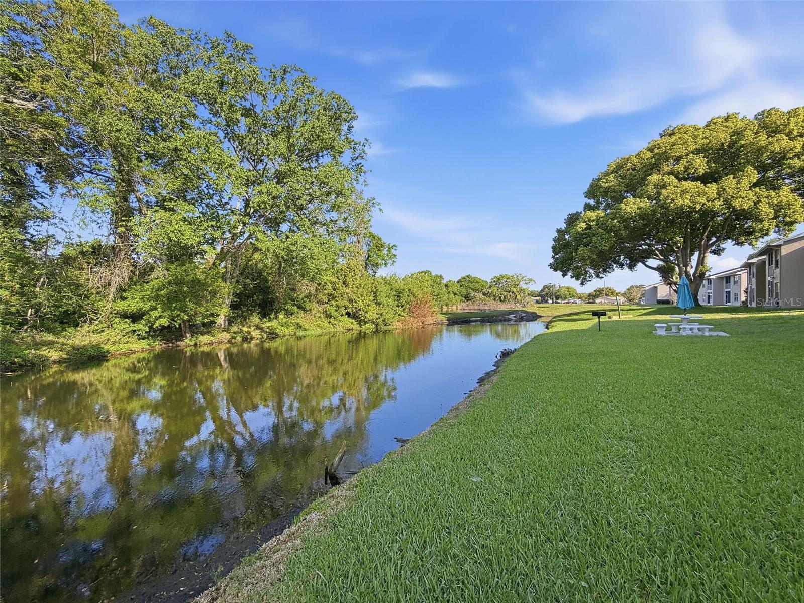 4833 MYRTLE OAK DR #12, NEW PORT RICHEY, FL, 34653