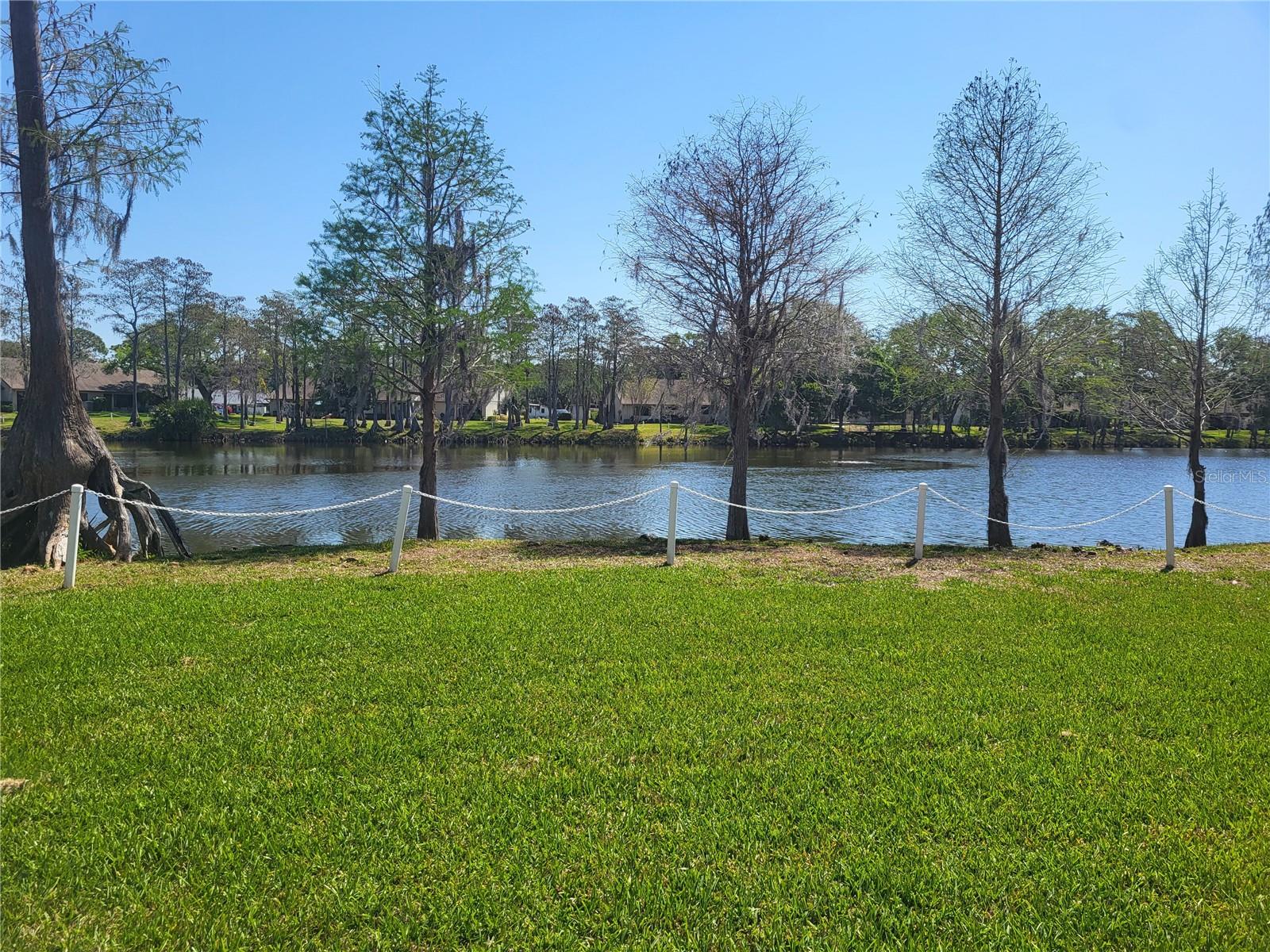 2549 OAKLEAF LN #36C, CLEARWATER, FL, 33763