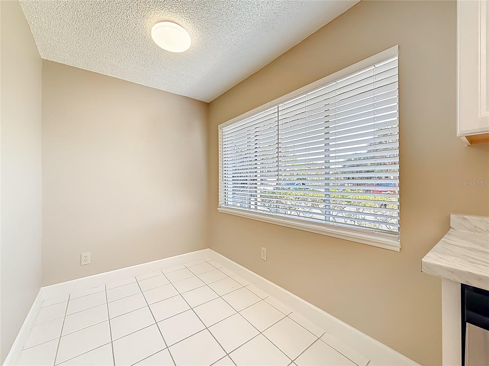 6301 NEWTOWN CIR #1A2, TAMPA, FL, 33615