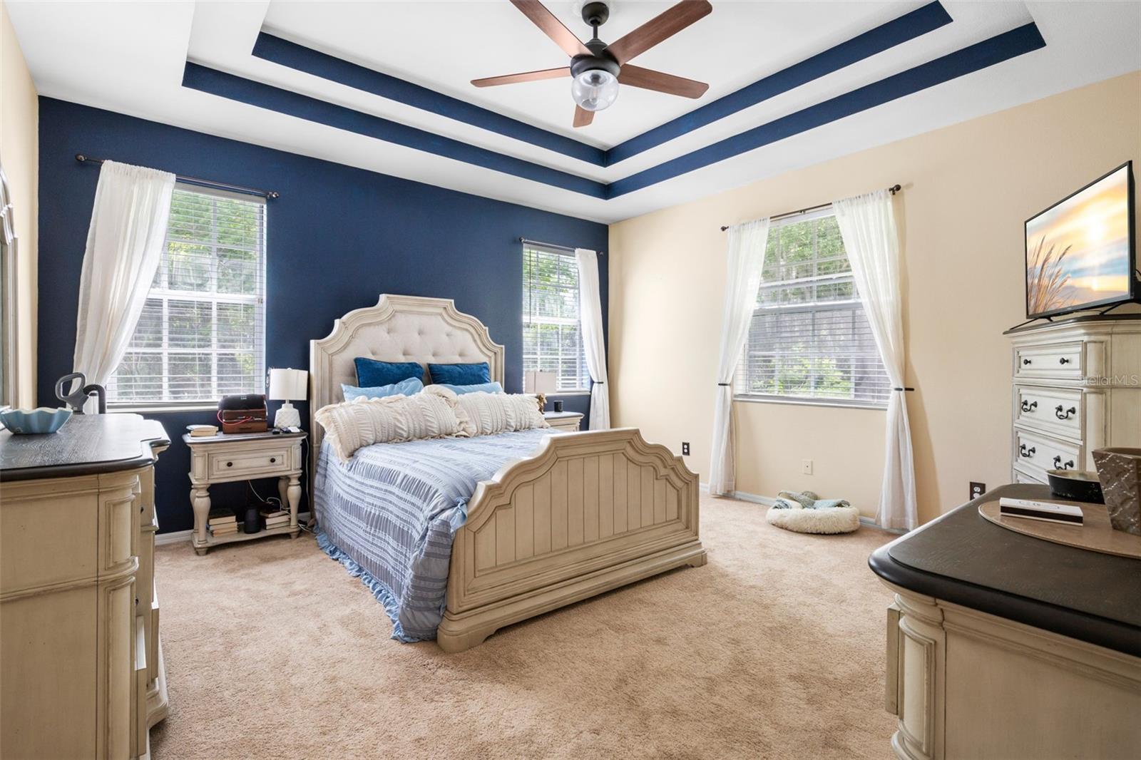 Spacious primary suite with plush carpeting, a tray ceiling with contrasting accent trim and ceiling fan, and a statement accent wall, complemented by multiple windows that fill the room with natural light.