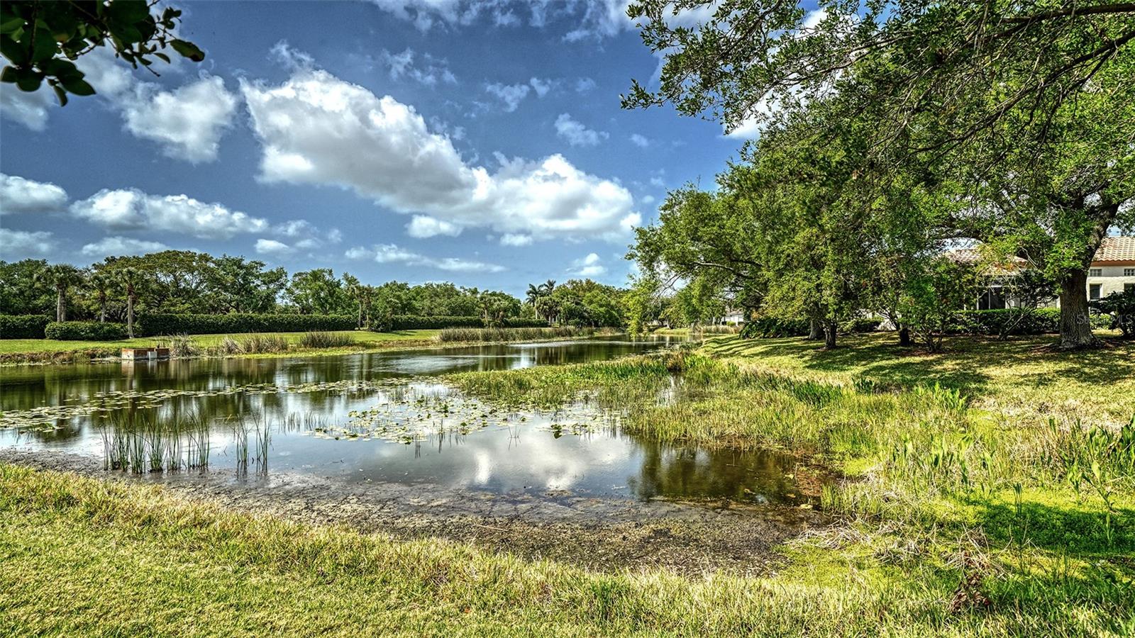 3799 MIRA LAGO DR, SARASOTA, FL, 34238