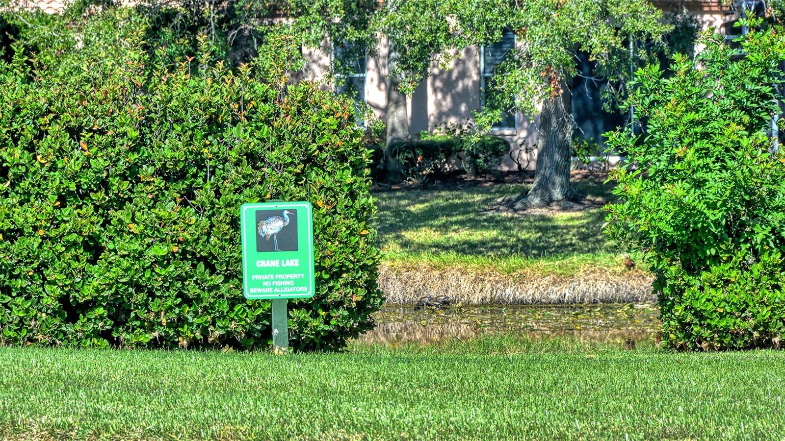 3799 MIRA LAGO DR, SARASOTA, FL, 34238