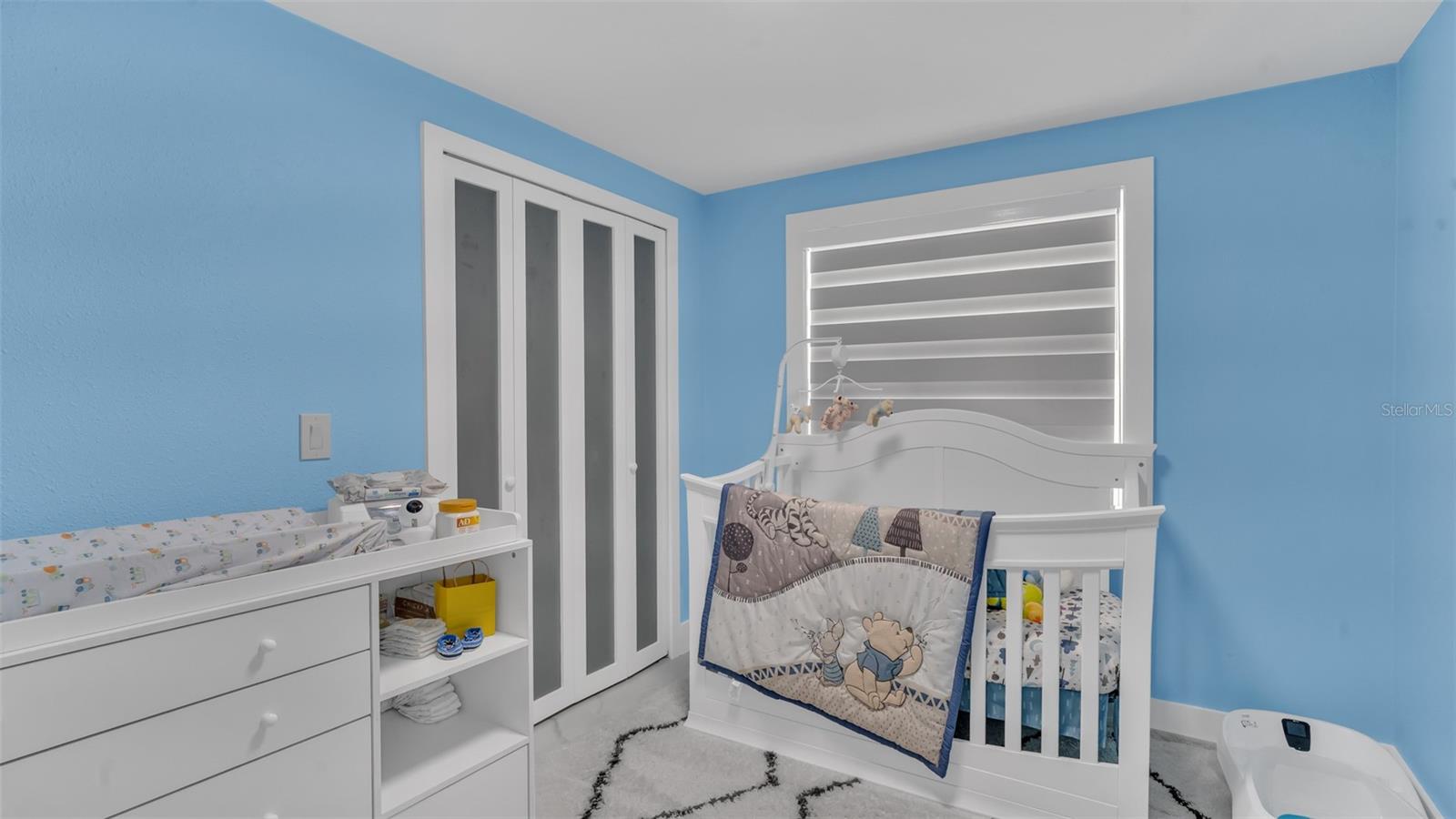 15810 SEA OATS PL, TAMPA, FL, 33624