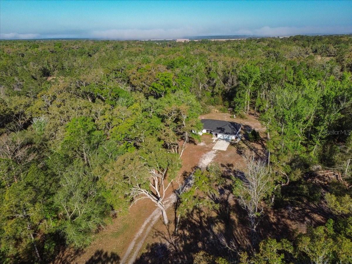 957 NE 354TH AVE, OLD TOWN, FL, 32680