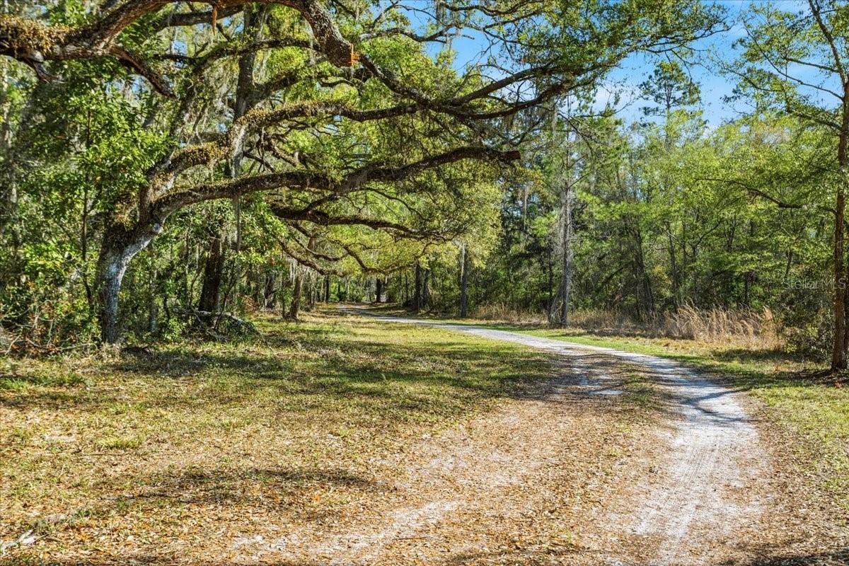 957 NE 354TH AVE, OLD TOWN, FL, 32680