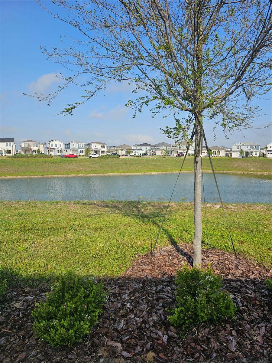 16288 MERRY ALY, WINTER GARDEN, FL, 34787