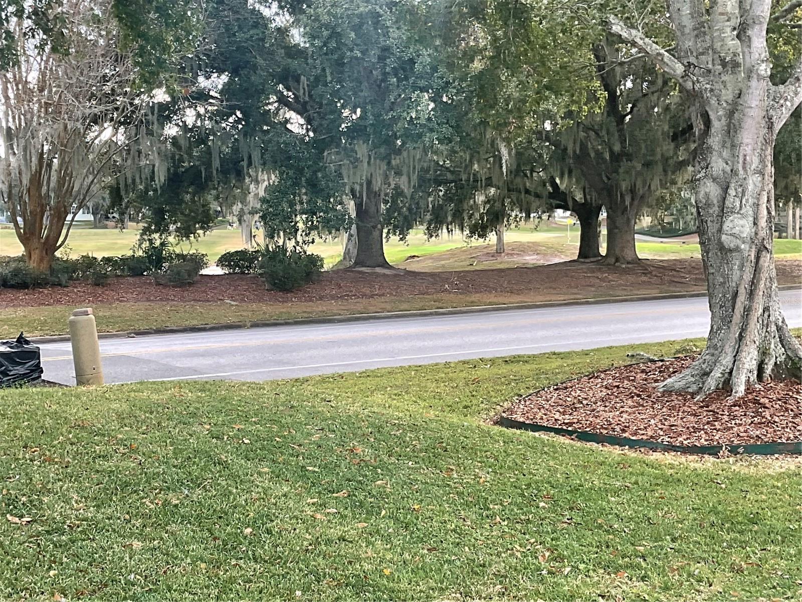 711 AGUA WAY, LADY LAKE, FL, 32159