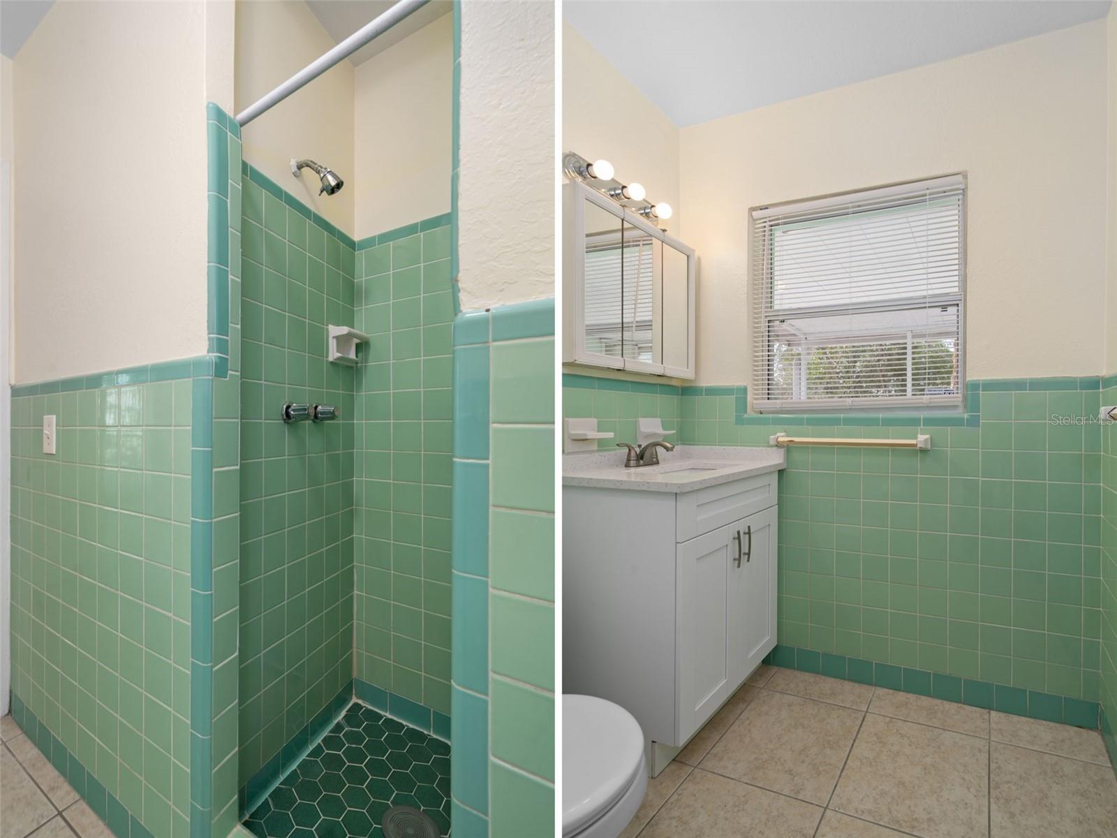 4808 W EUCLID AVE, TAMPA, FL, 33629
