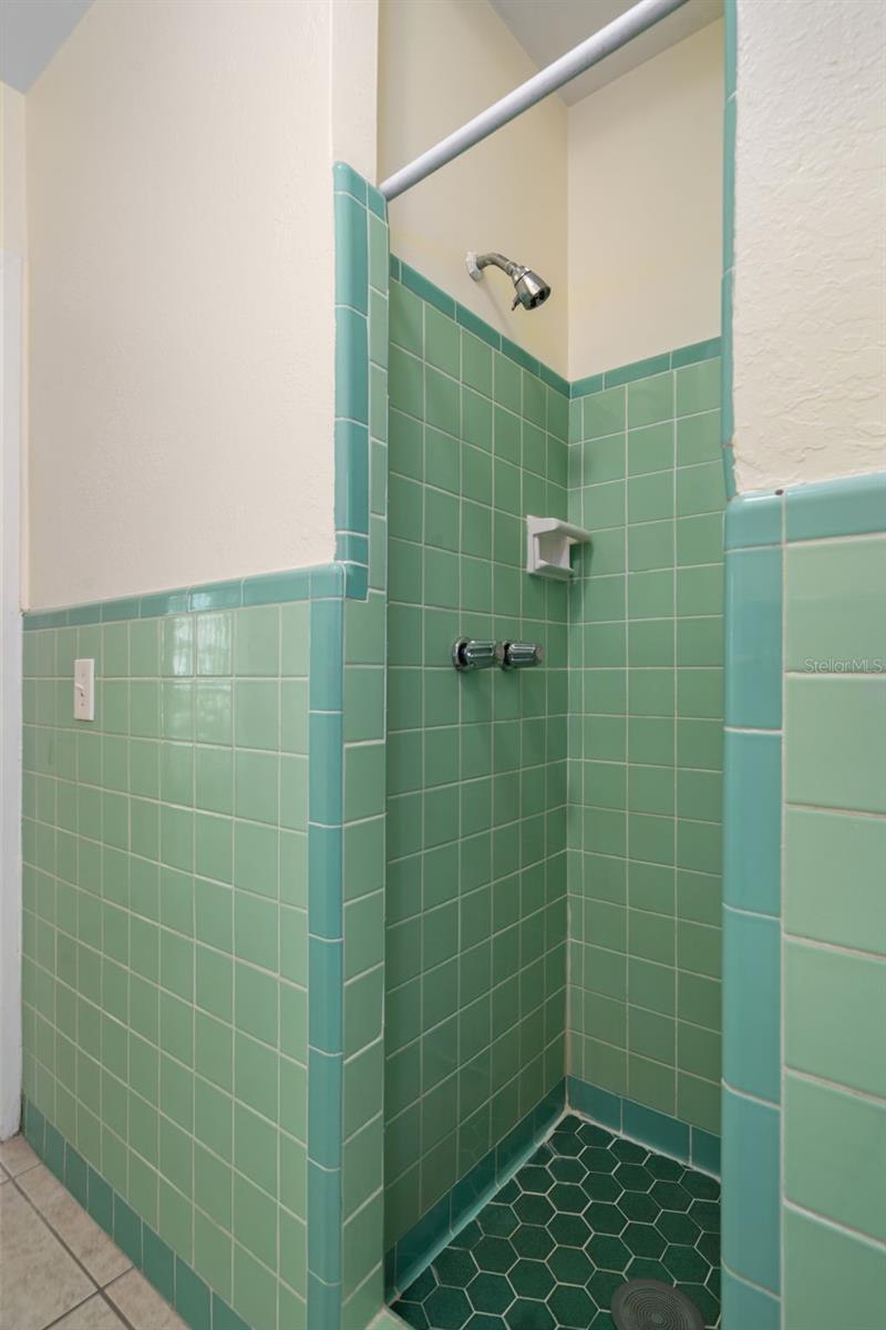 4808 W EUCLID AVE, TAMPA, FL, 33629