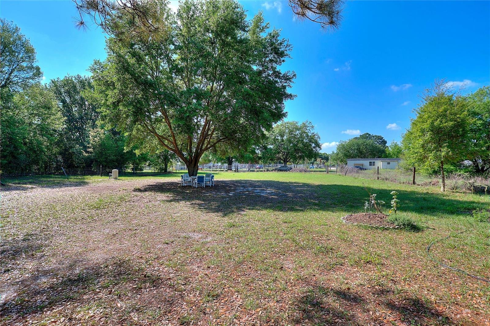 3443 COUNTY ROAD 557A, POLK CITY, FL, 33868