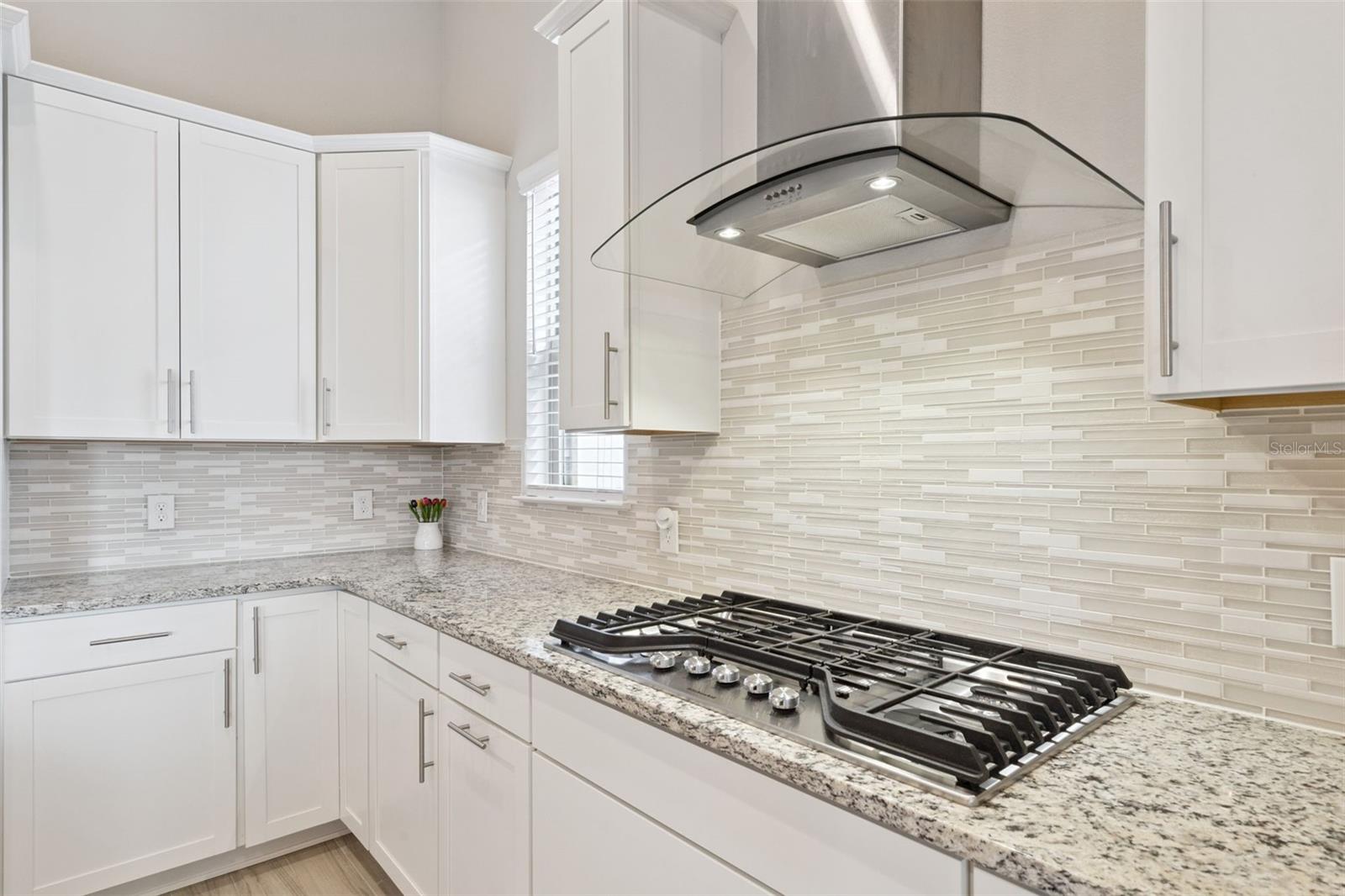 11509 CITRUS FIELDS PL, ORLANDO, FL, 32836