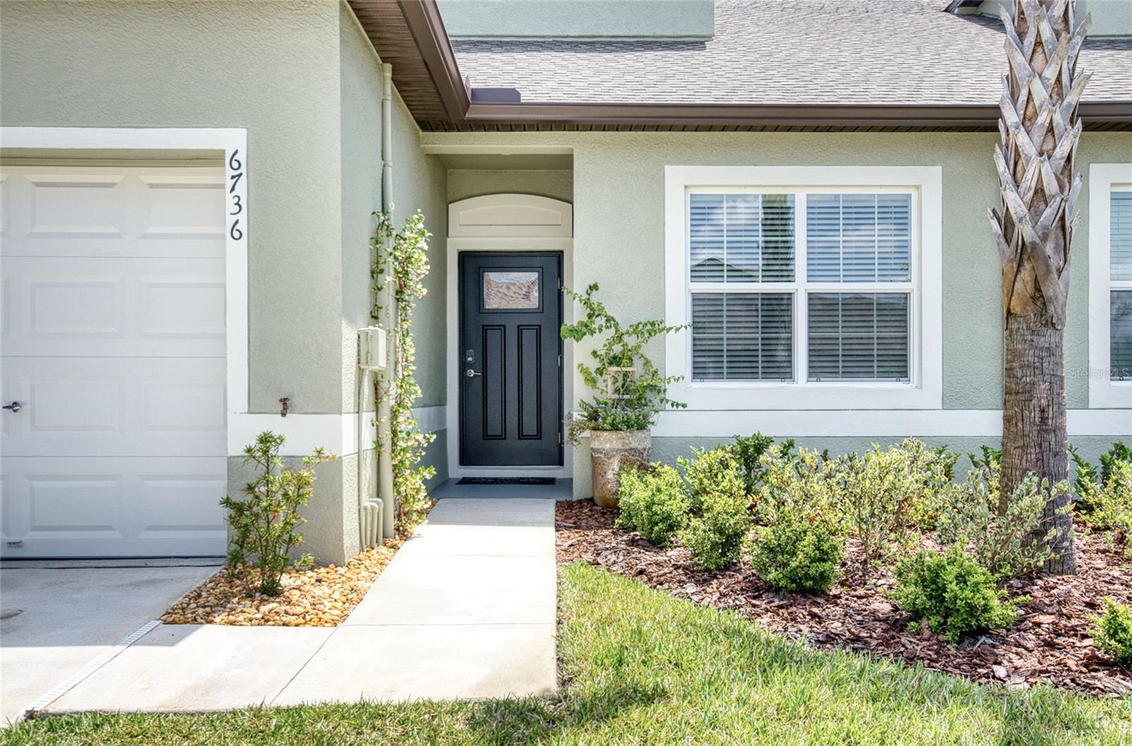 6736 RIPPLE POND LOOP, ZEPHYRHILLS, FL, 33541