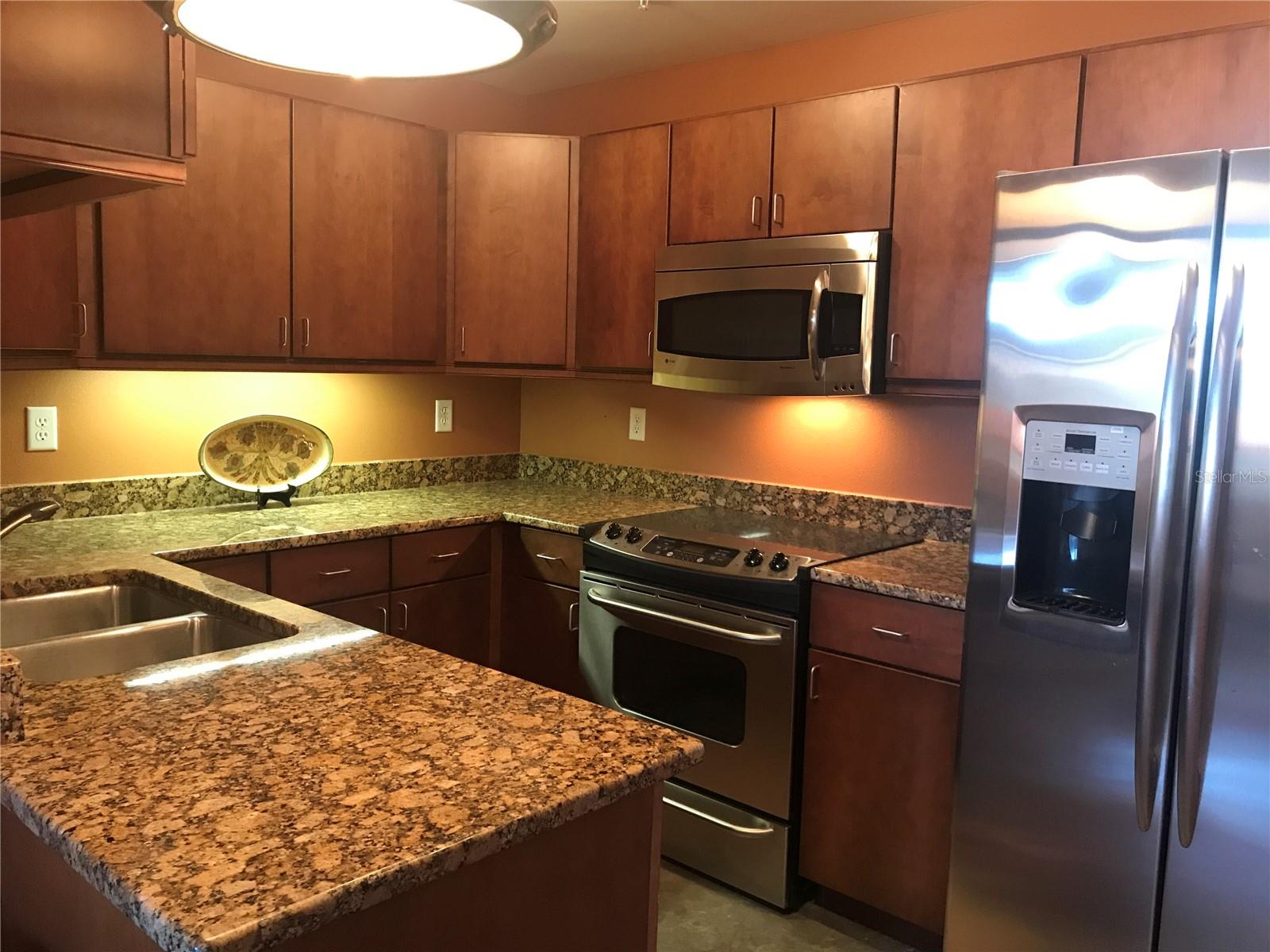 125 N KENTUCKY AVE #203, LAKELAND, FL, 33801