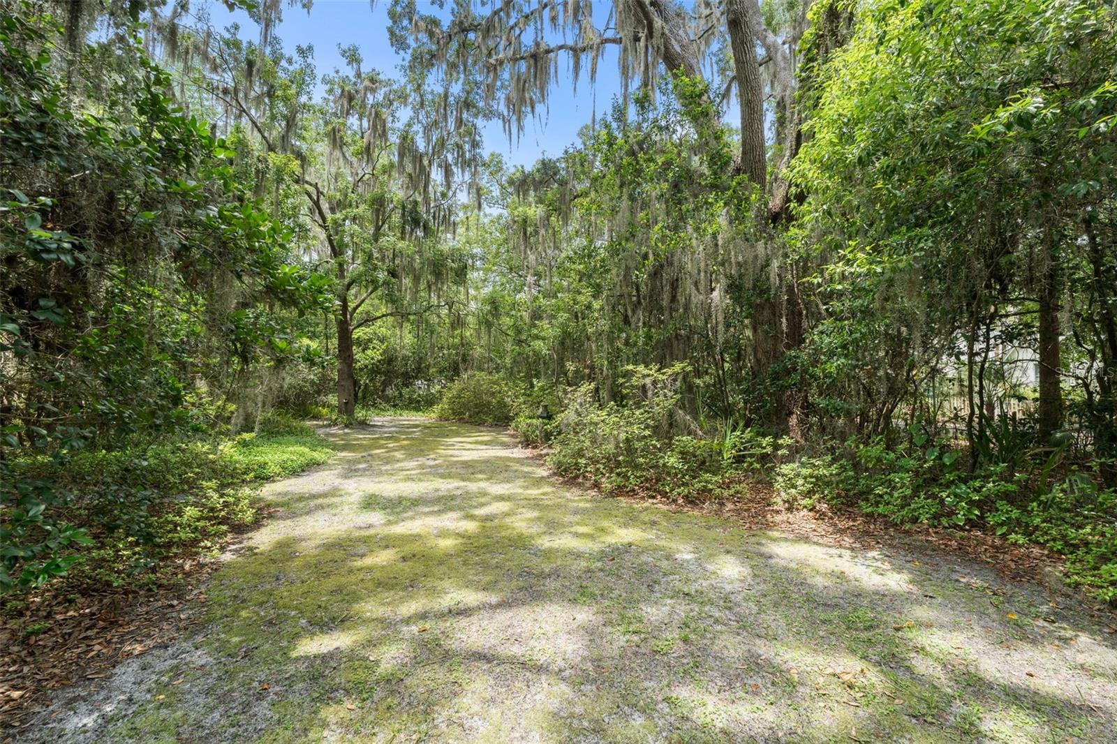 717 NE BOULEVARD, GAINESVILLE, FL, 32601