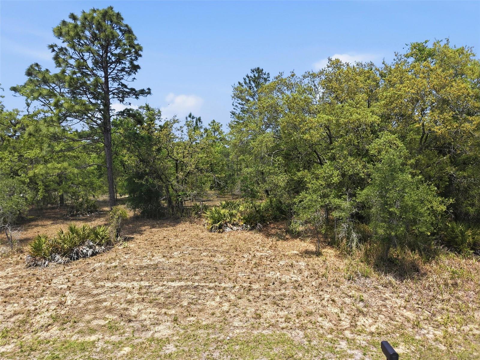 Lot 25 THRASHER AVE, WEEKI WACHEE, FL, 34614