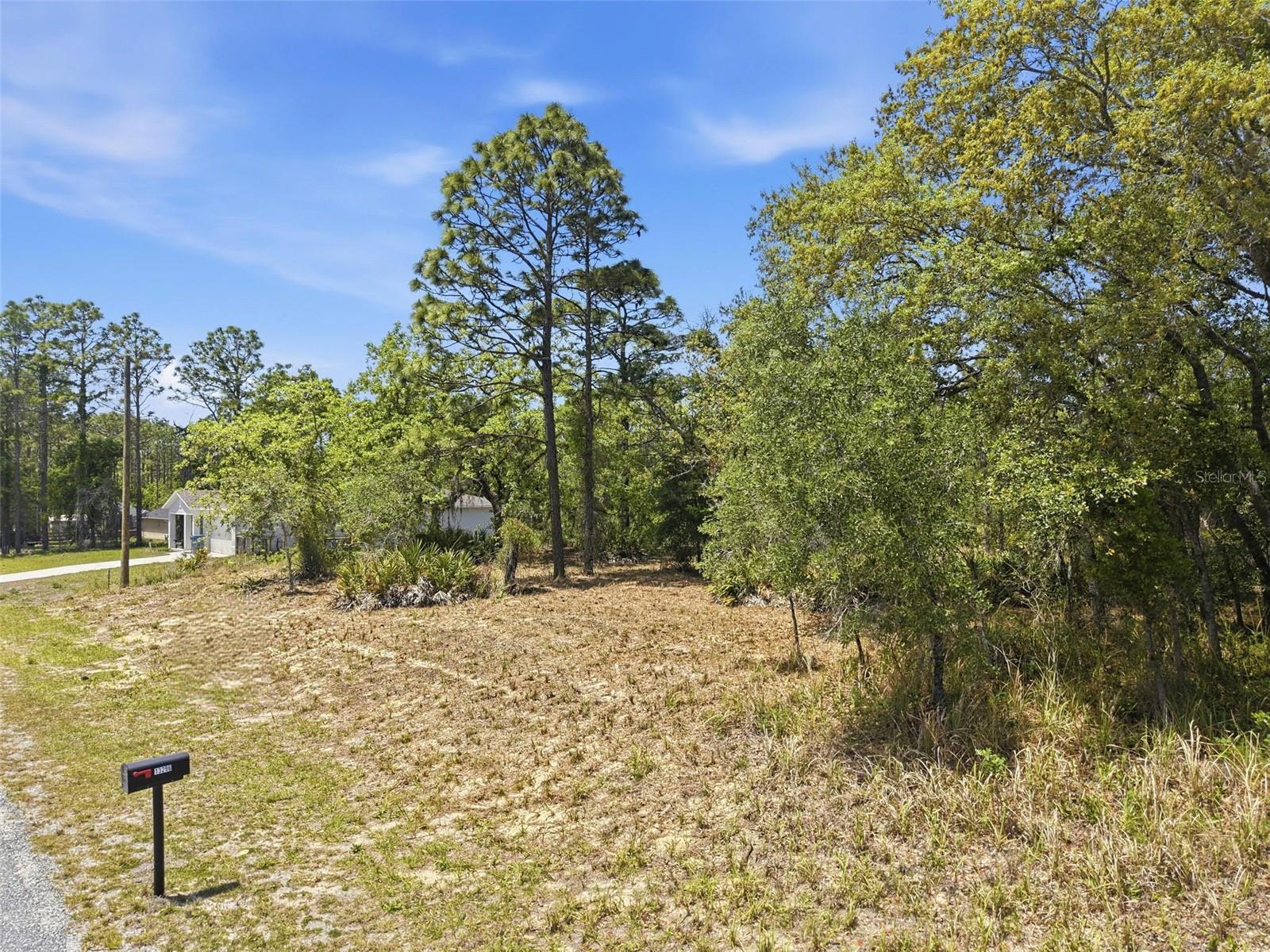 Lot 25 THRASHER AVE, WEEKI WACHEE, FL, 34614