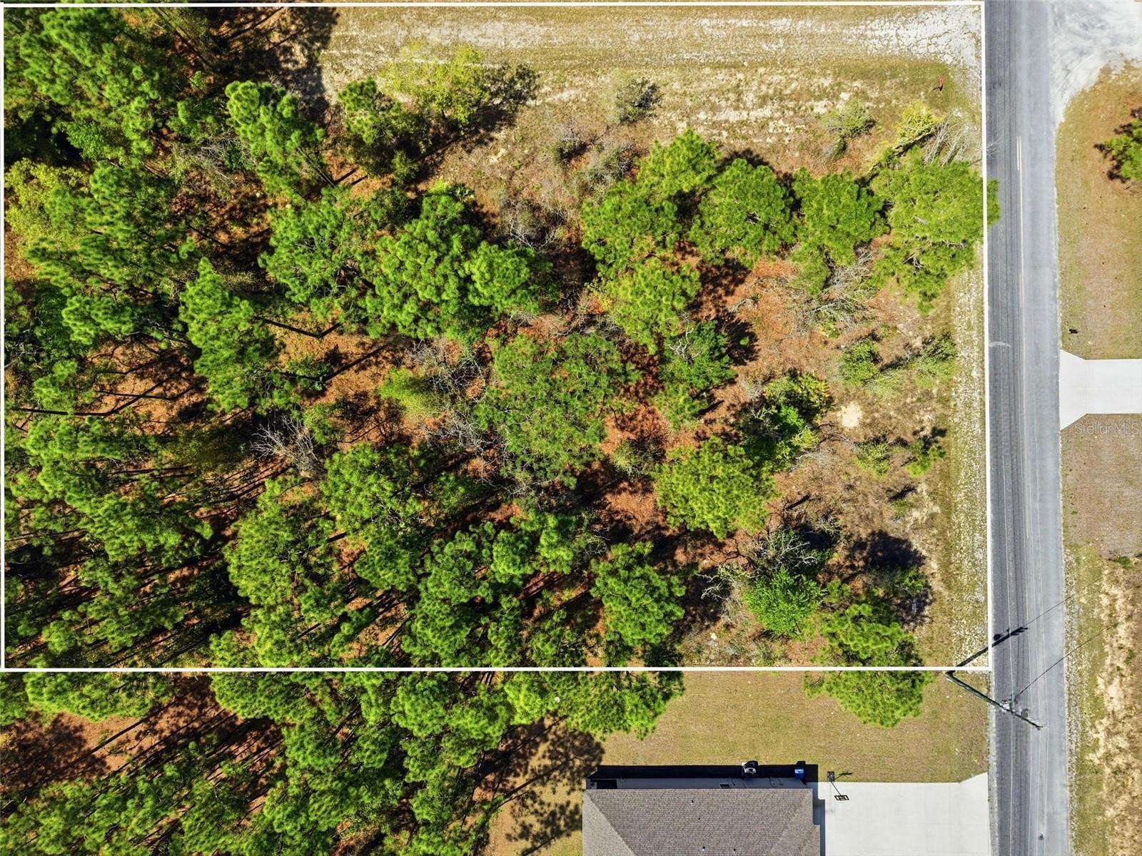 Lot 25 THRASHER AVE, WEEKI WACHEE, FL, 34614