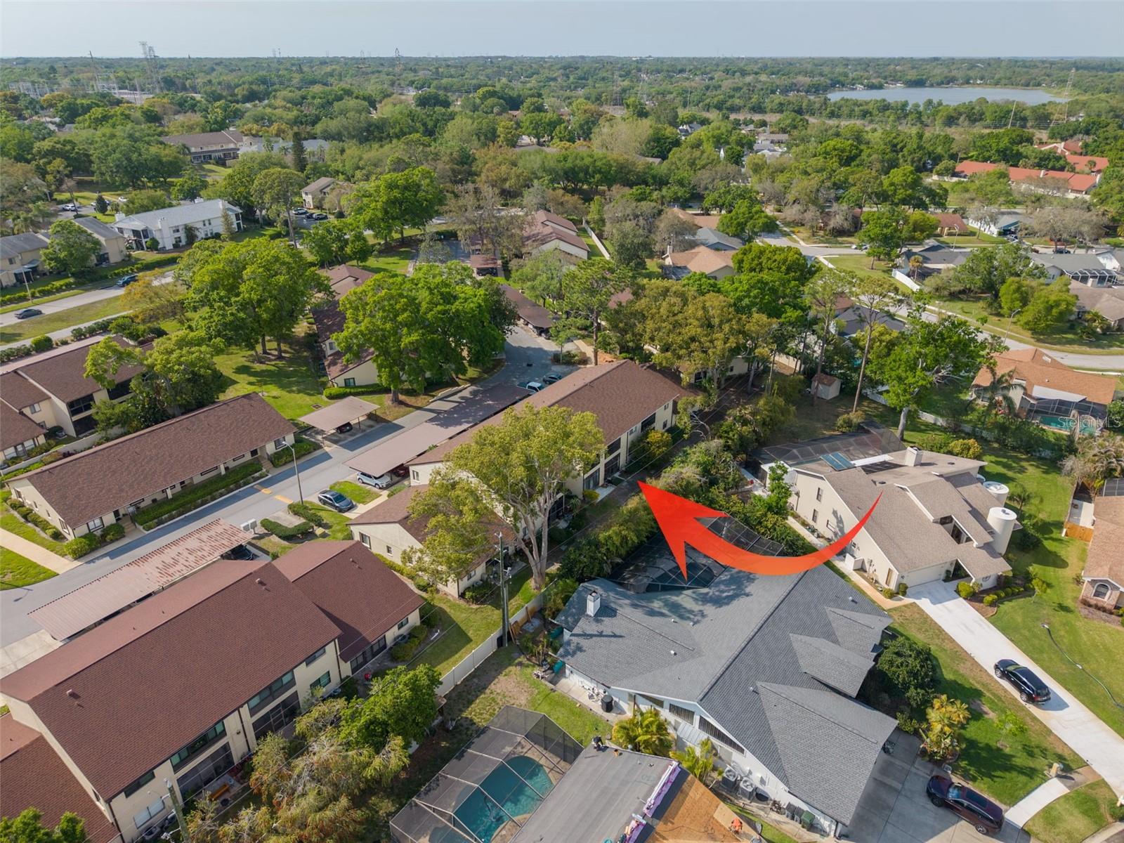 3590 MAGNOLIA RIDGE CIR #C-1103, PALM HARBOR, FL, 34684