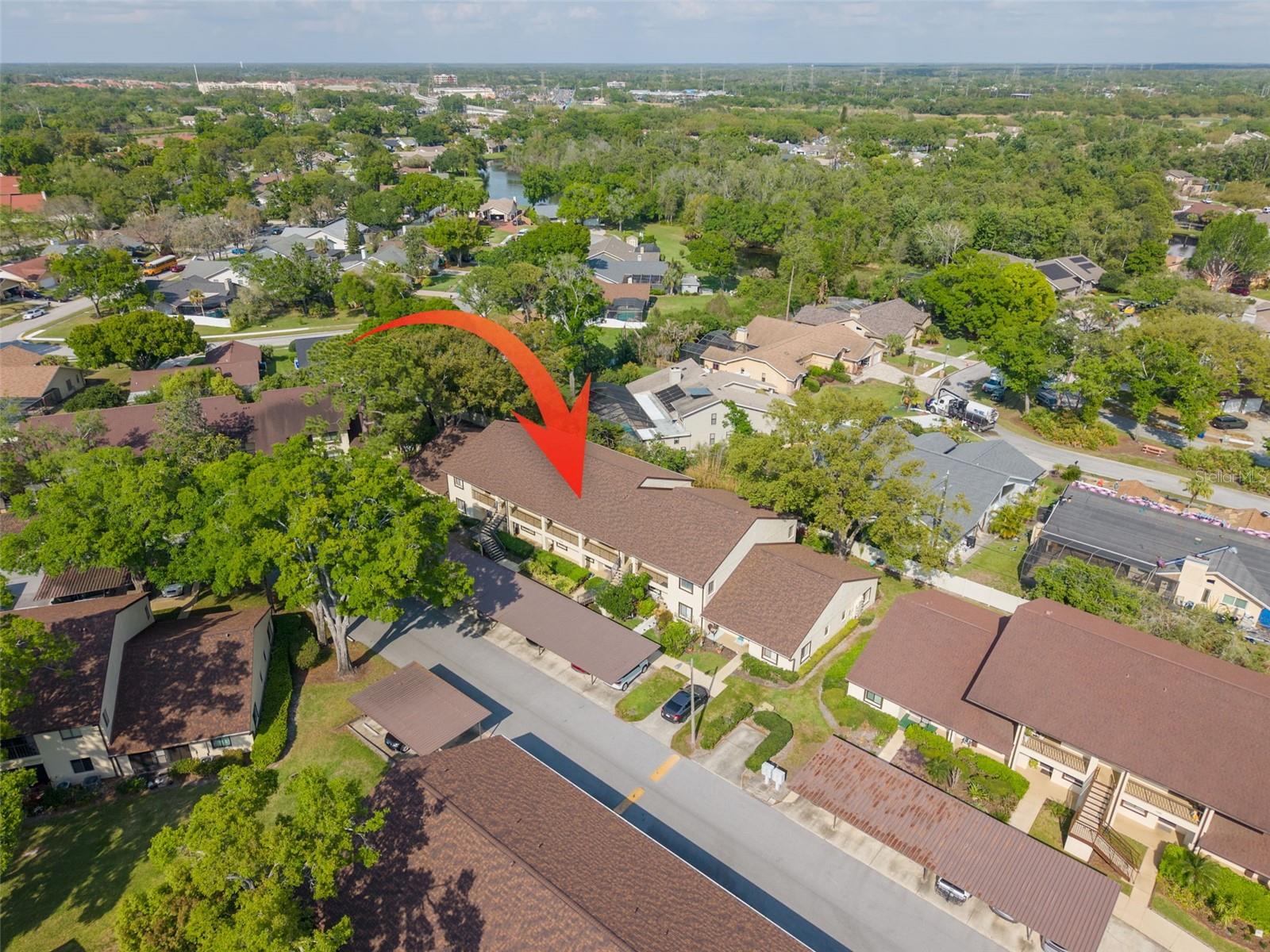 3590 MAGNOLIA RIDGE CIR #C-1103, PALM HARBOR, FL, 34684