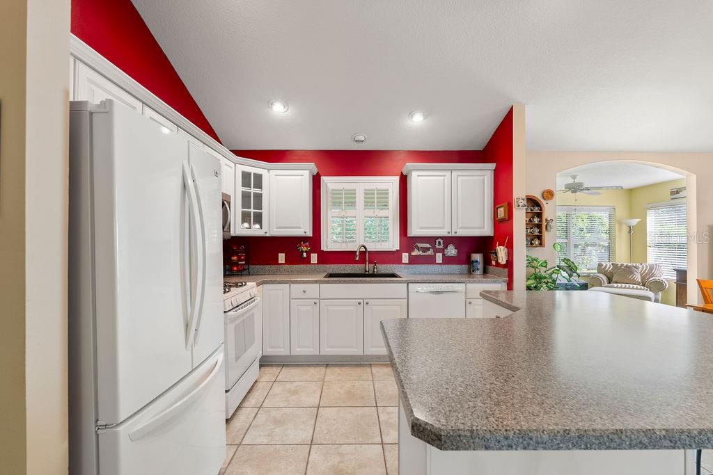 9175 SE 169TH BENTLEY ST, THE VILLAGES, FL, 32162
