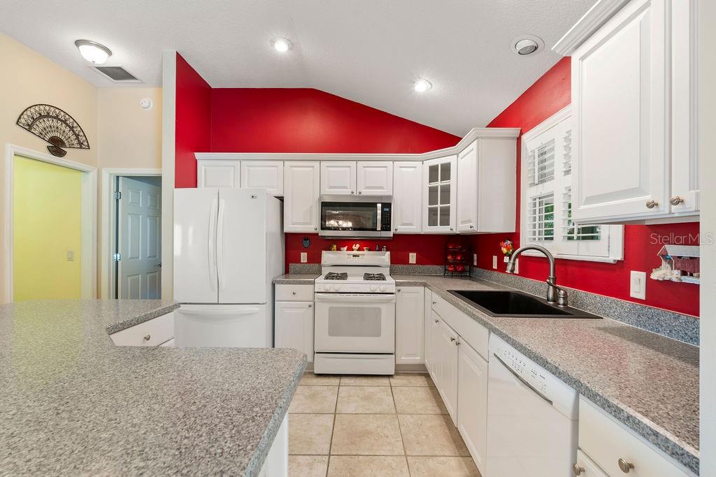 9175 SE 169TH BENTLEY ST, THE VILLAGES, FL, 32162