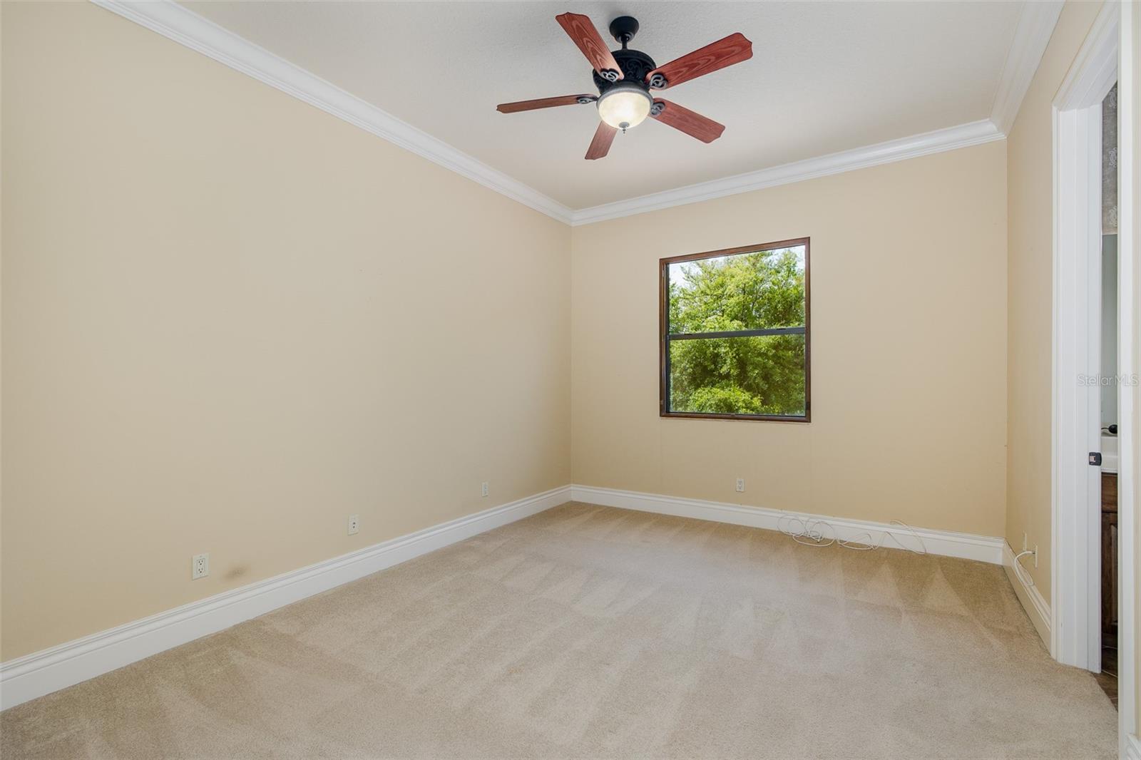 9943 MILANO DR, TRINITY, FL, 34655