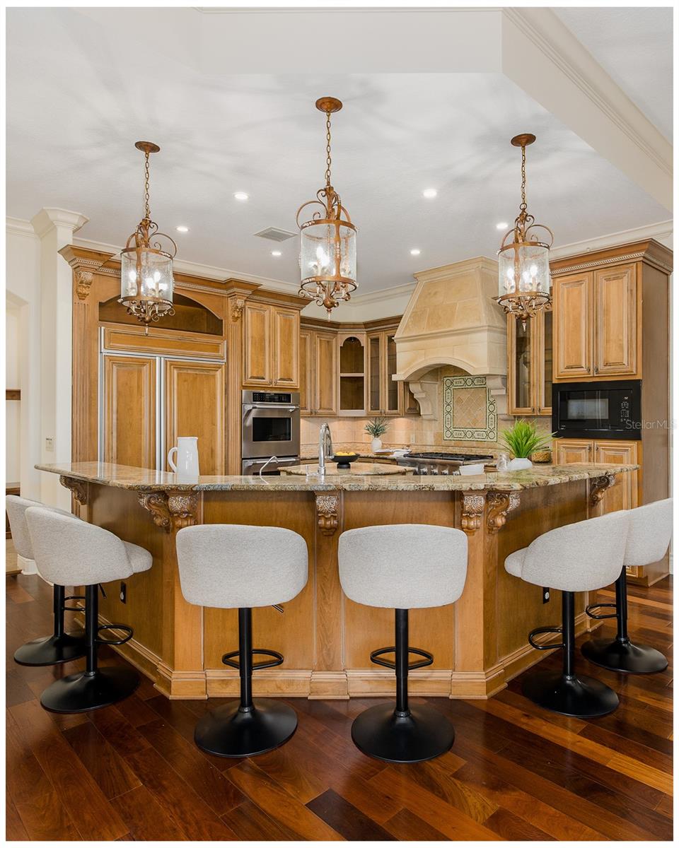 9943 MILANO DR, TRINITY, FL, 34655