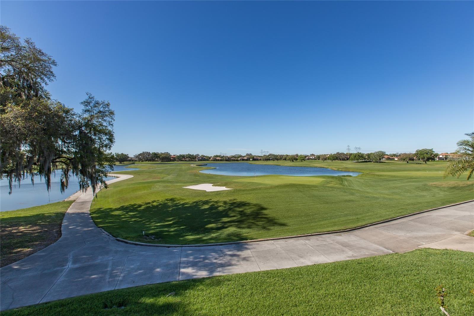 9943 MILANO DR, TRINITY, FL, 34655