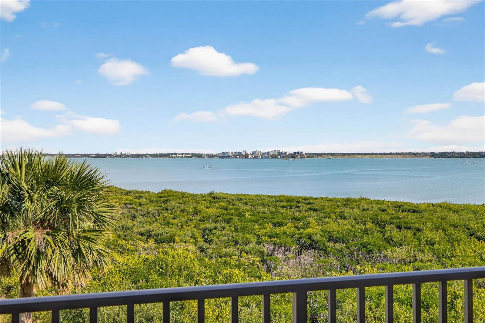 1501 GULF BLVD #205, CLEARWATER BEACH, FL, 33767