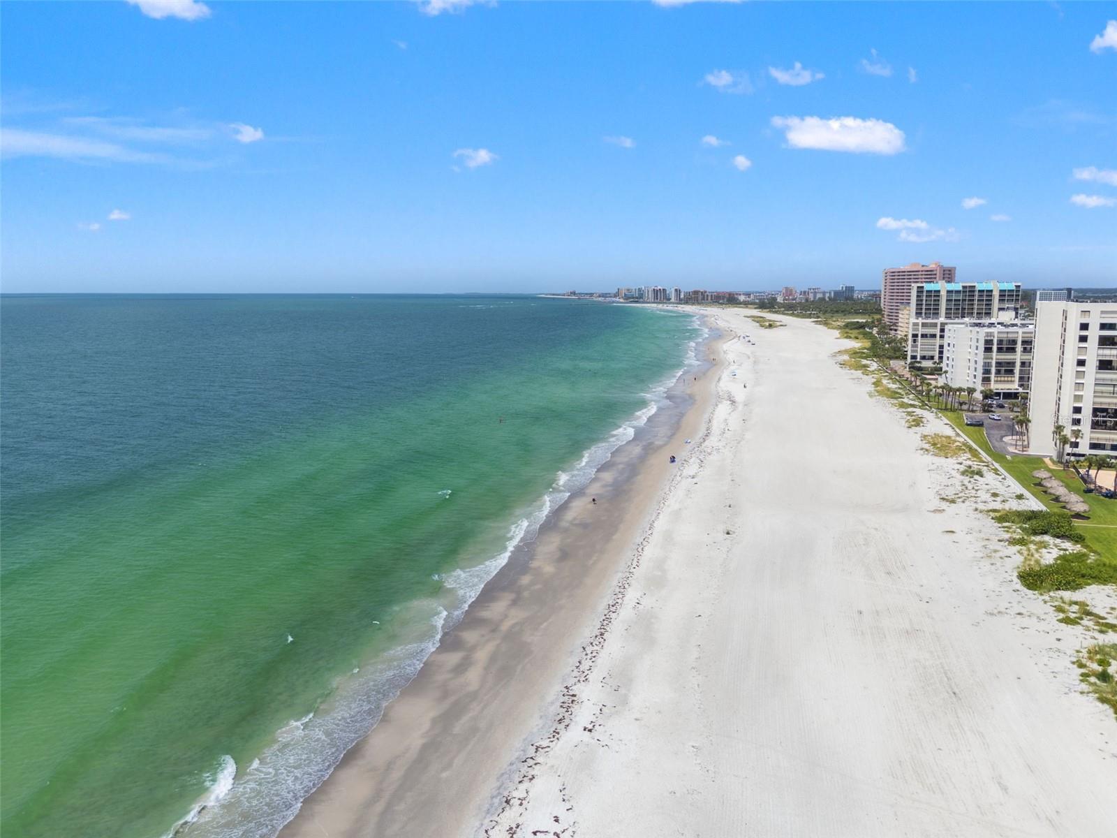 1501 GULF BLVD #205, CLEARWATER BEACH, FL, 33767