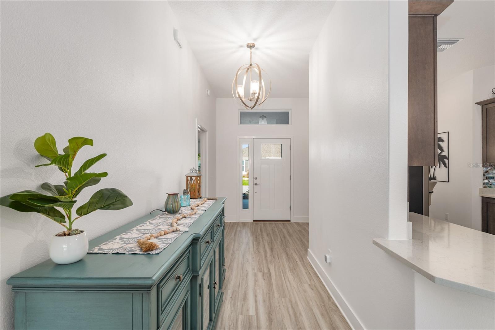 1659 MCMURTRIE LOOP, THE VILLAGES, FL, 34762