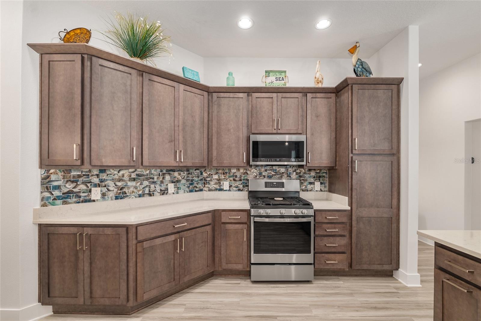 1659 MCMURTRIE LOOP, THE VILLAGES, FL, 34762