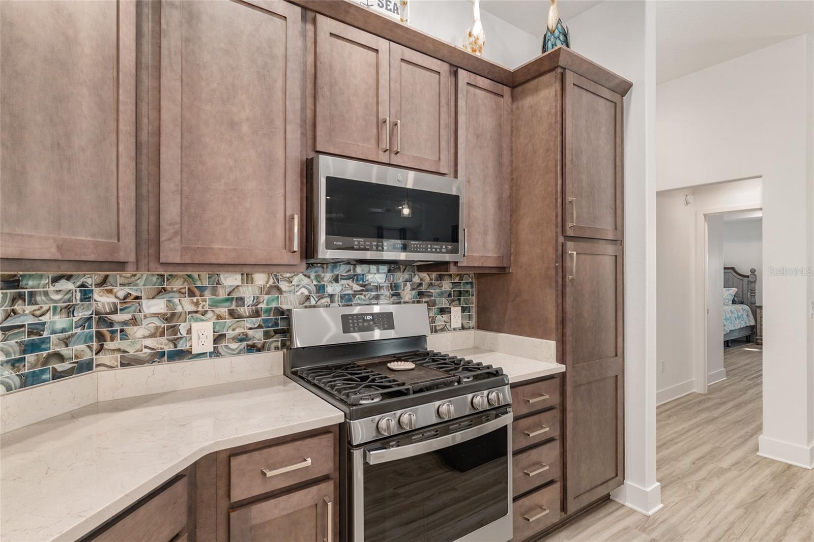 1659 MCMURTRIE LOOP, THE VILLAGES, FL, 34762