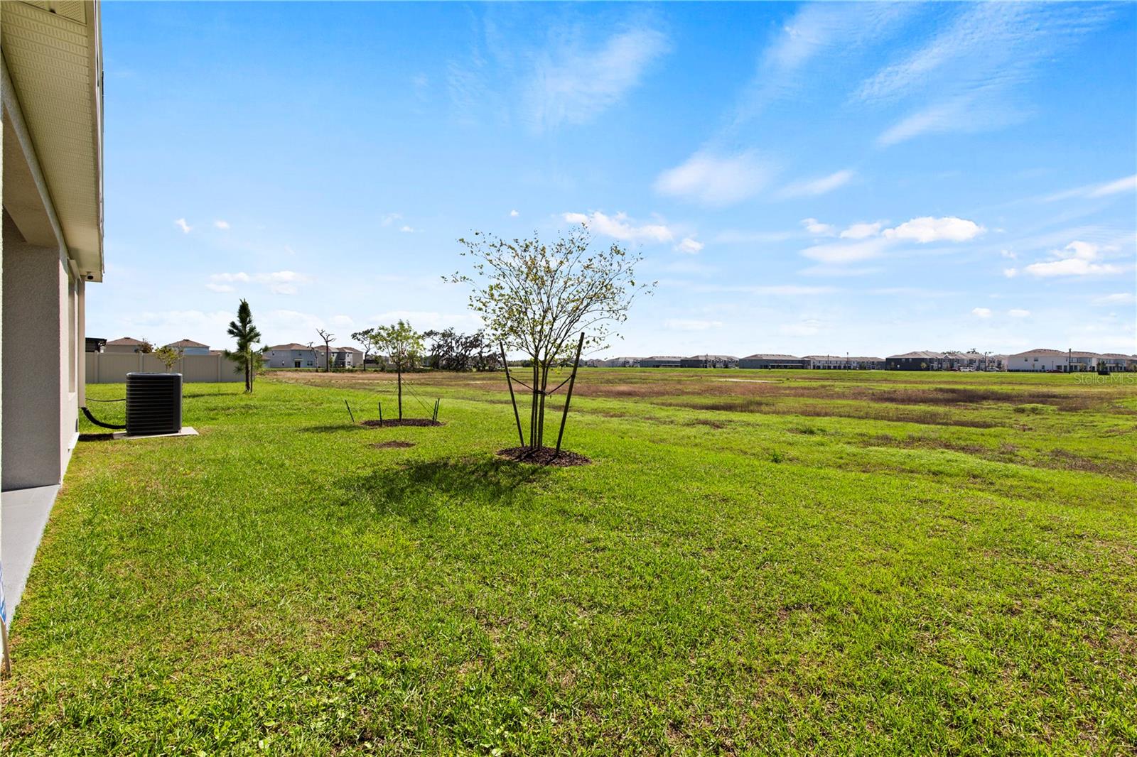 6250 WANDERING WILLOW DR, WESLEY CHAPEL, FL, 33545