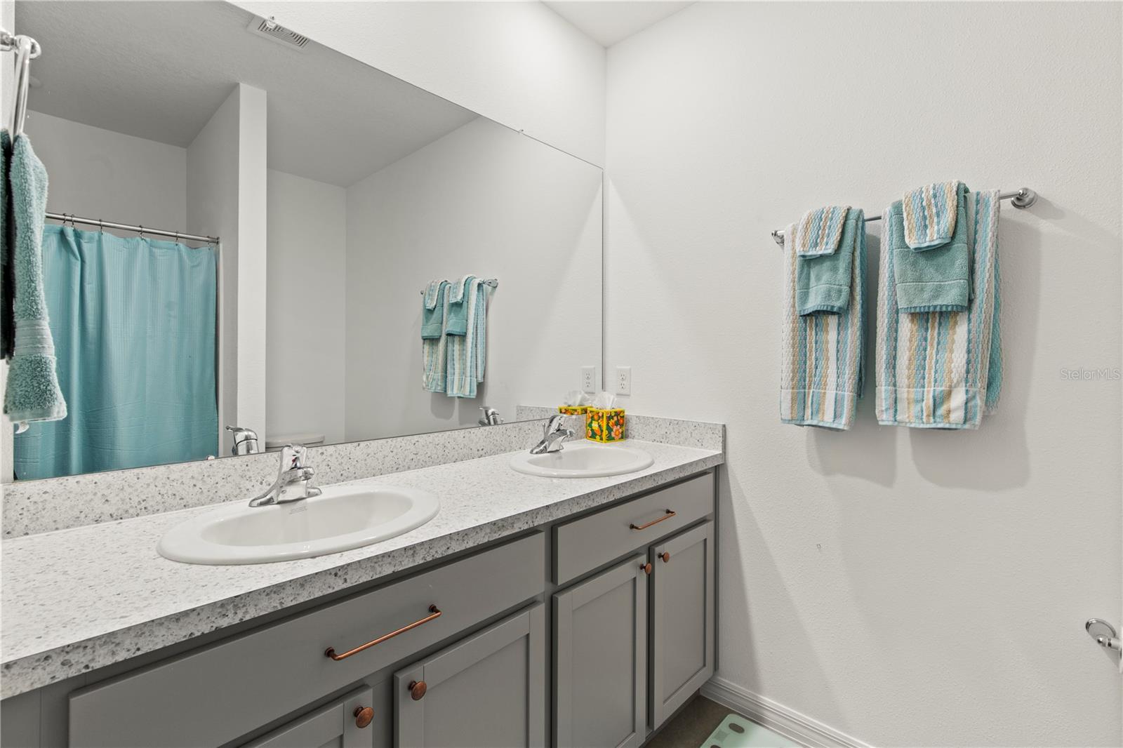 6250 WANDERING WILLOW DR, WESLEY CHAPEL, FL, 33545