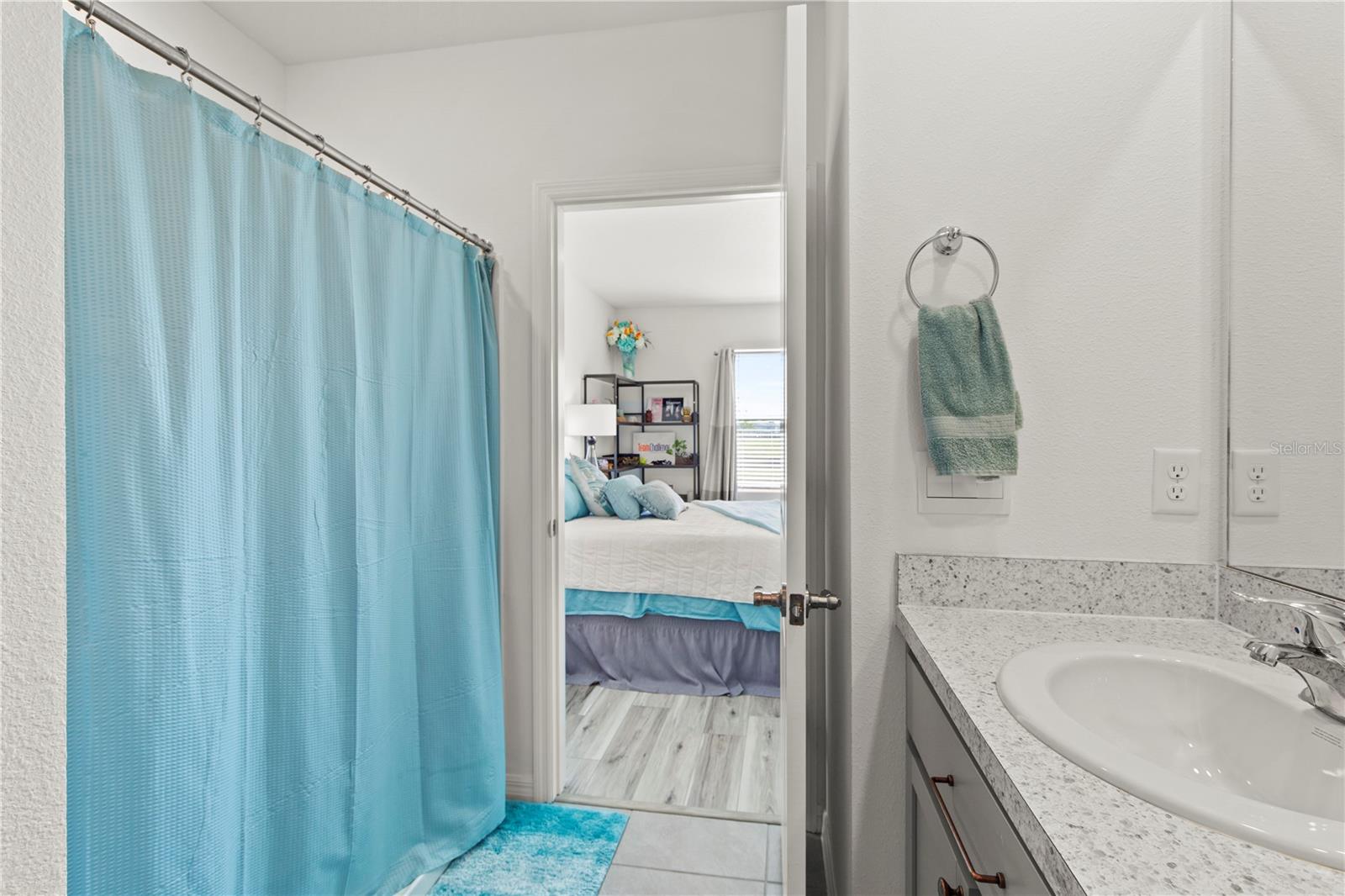 6250 WANDERING WILLOW DR, WESLEY CHAPEL, FL, 33545