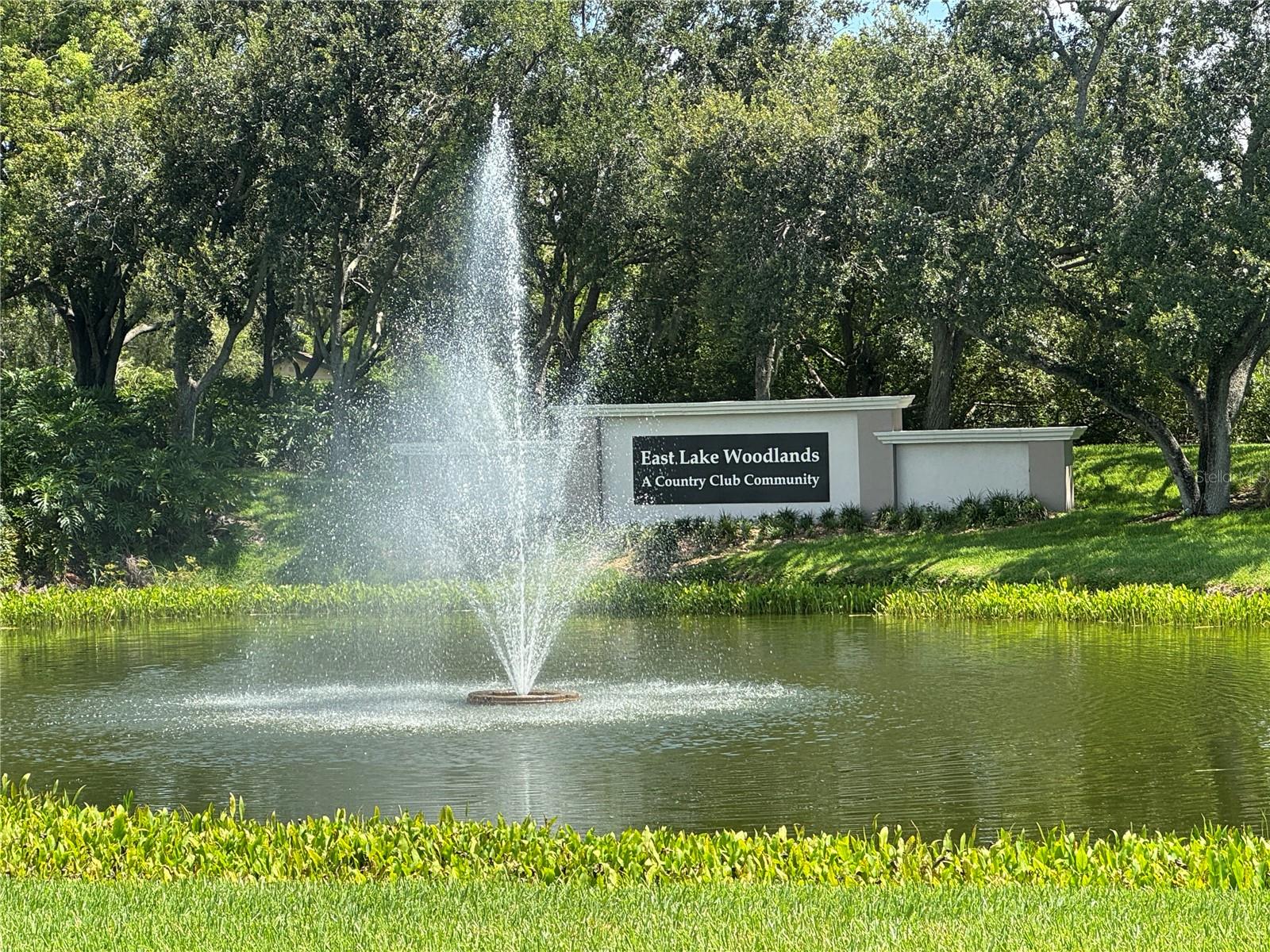115 WINDWARD PL #15, OLDSMAR, FL, 34677