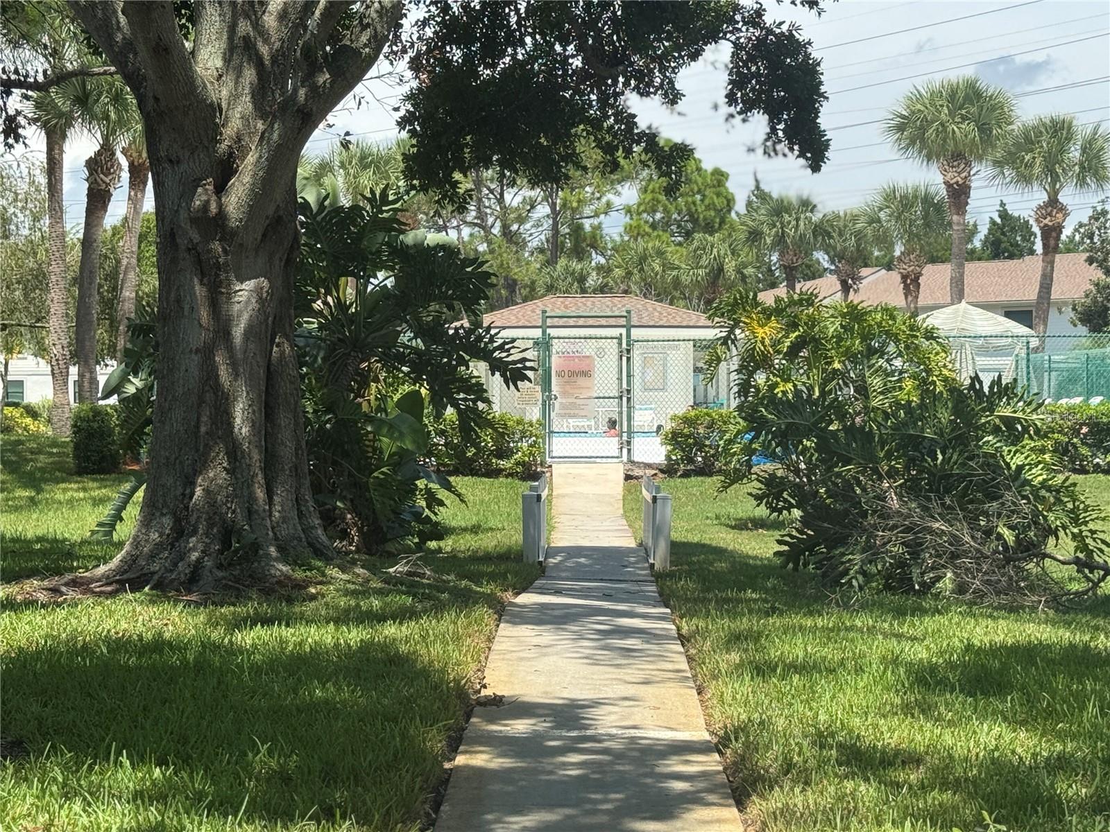 115 WINDWARD PL #15, OLDSMAR, FL, 34677