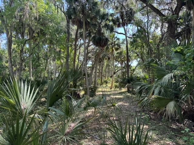 2992 N C 470, LAKE PANASOFFKEE, FL, 33538
